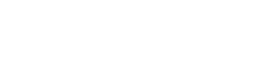 Fortuna spin logo